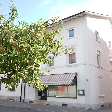 Three Corners Aparthotel Grenzach-Wyhlen Exterior photo